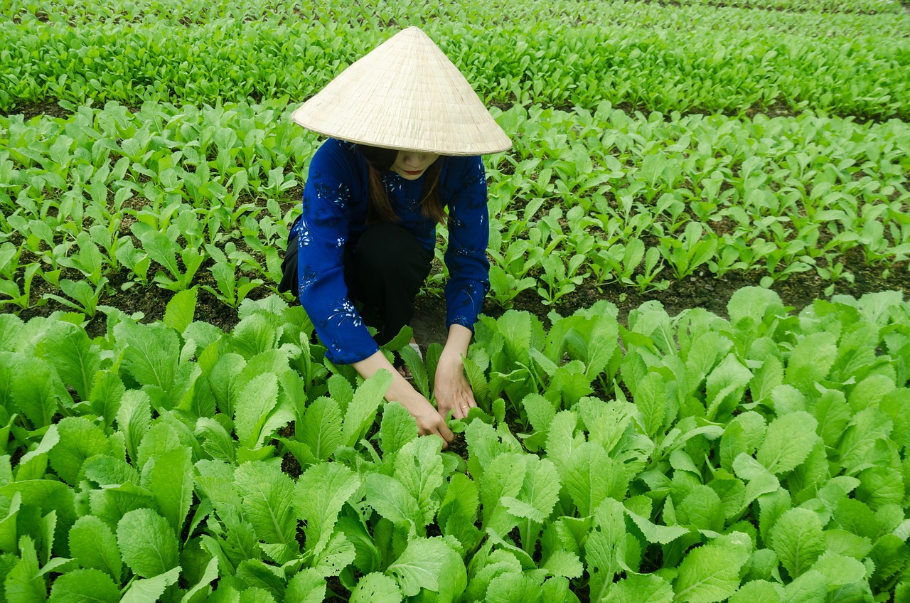 长荣股份最新消息全面解析，最新动态与发展概述