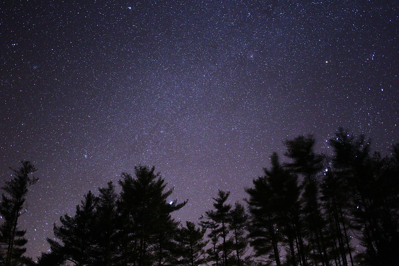 台湾逝去的明星，缅怀星辰，永恒的记忆