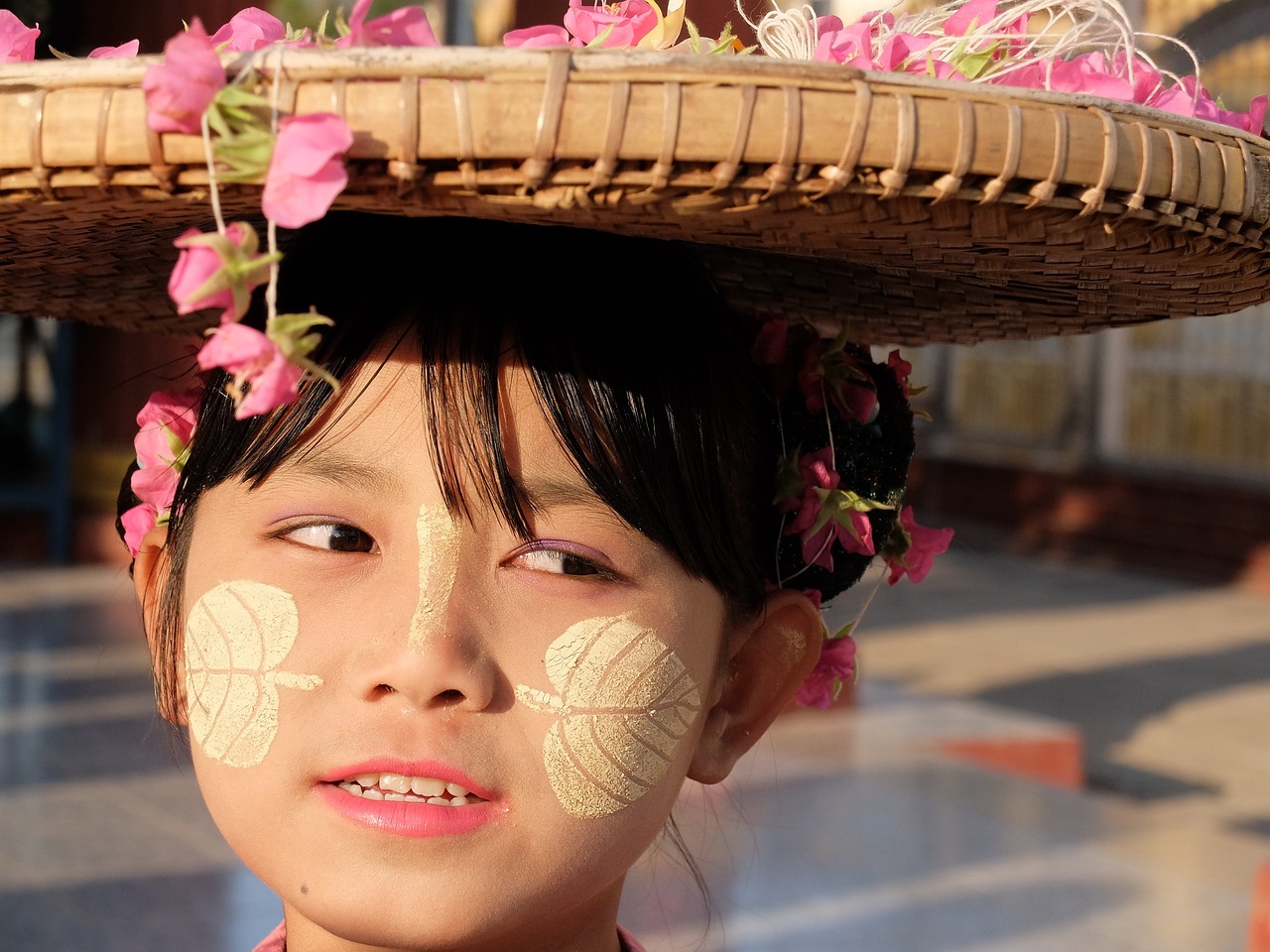 妃狐养成记最新章节探秘，揭秘养成之旅的奥秘
