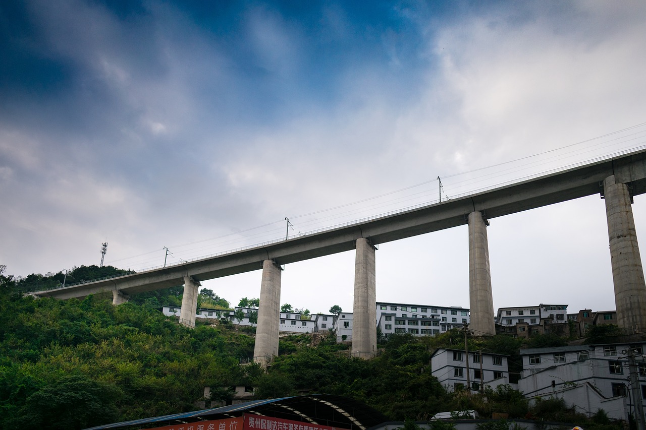 忱杏 第8页