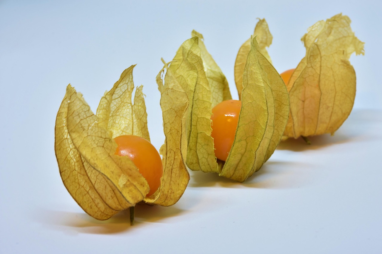 探寻柚子季节，美味柚子的上市月份揭秘