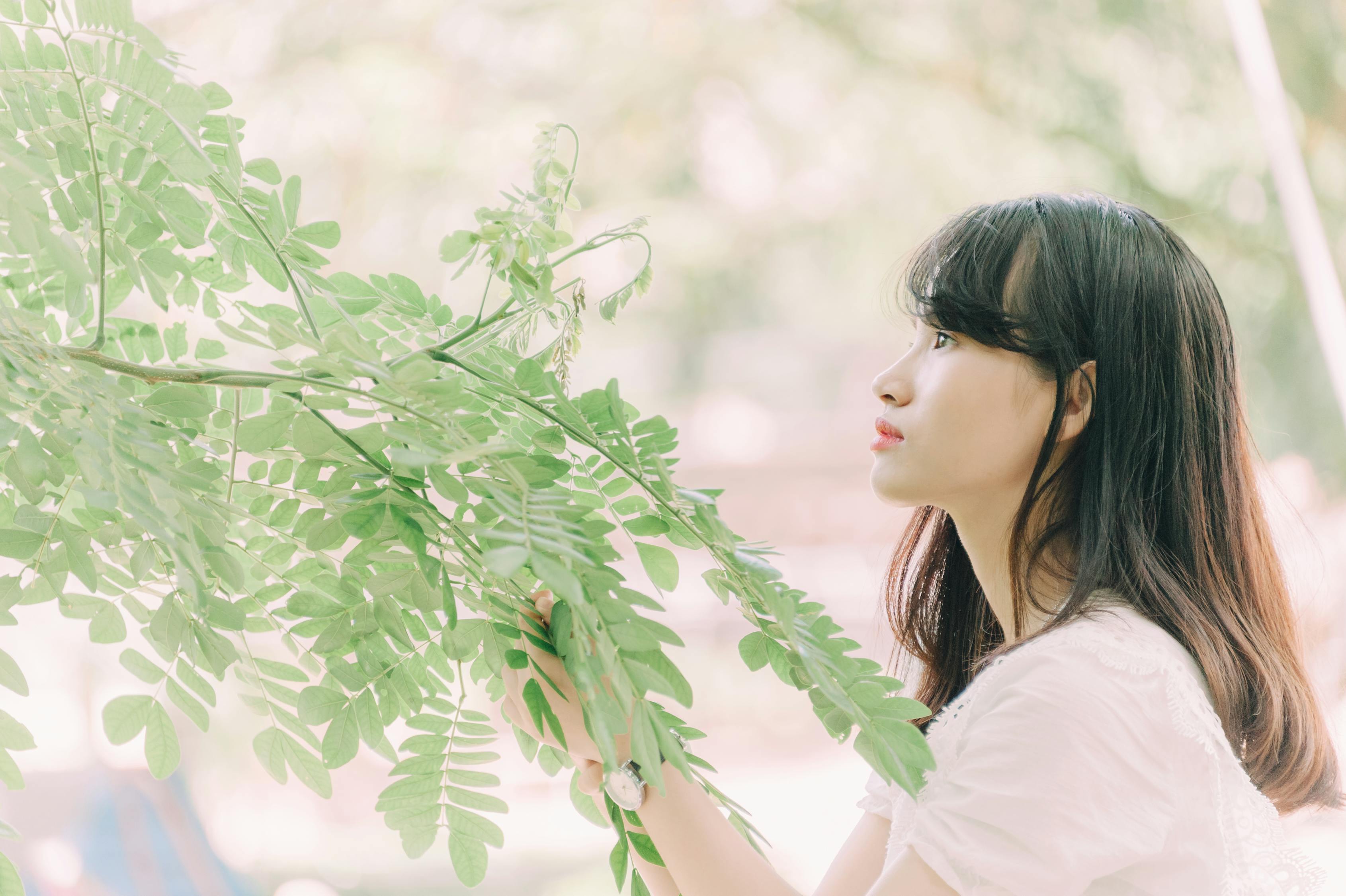 想结婚的女人电视剧，探究爱情叙事与女性婚姻之路的探寻之路