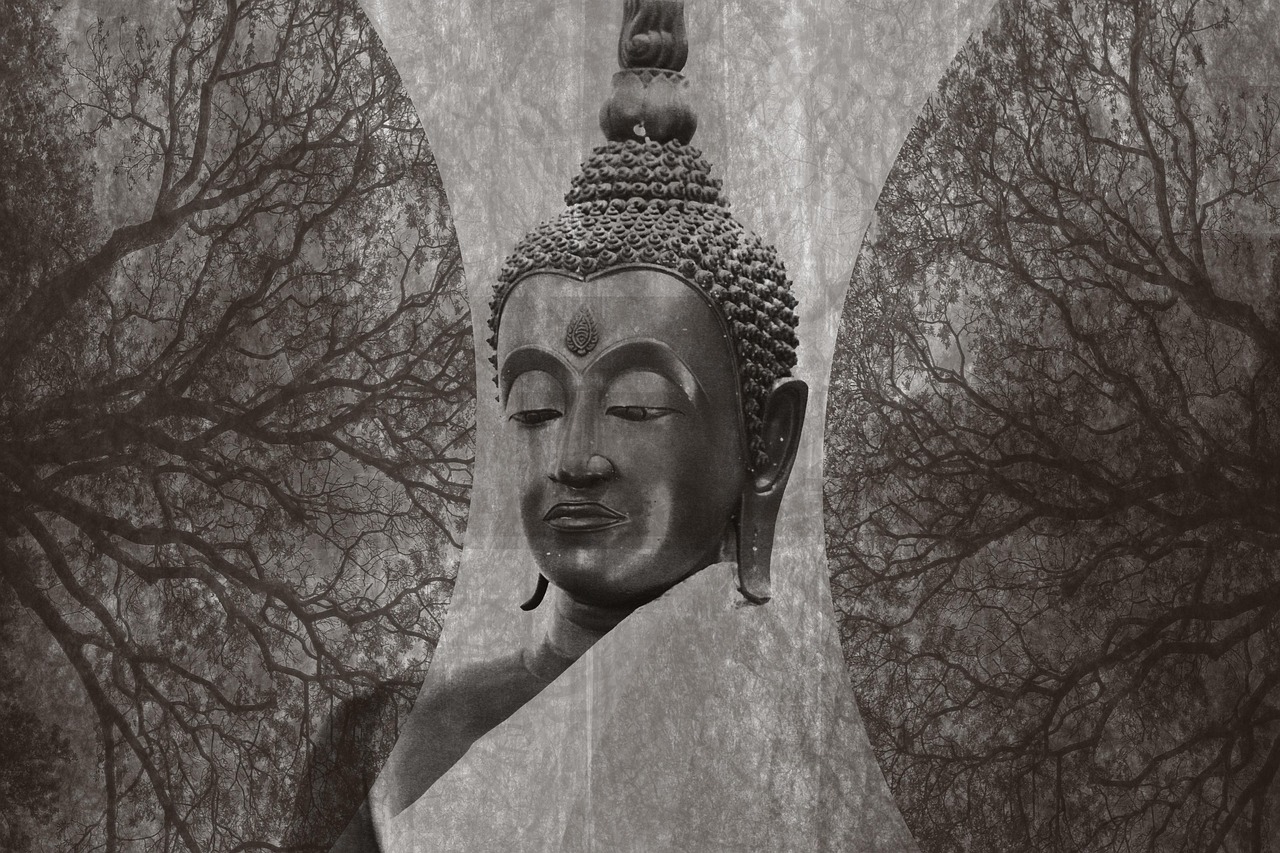 泰国娜迦神秘传说电视剧，荧屏上的魅力之旅