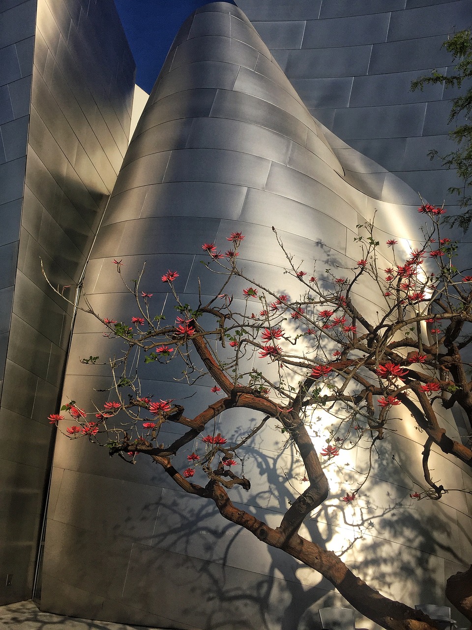 杭州之门项目最新进展，塑造未来城市新地标动态揭秘