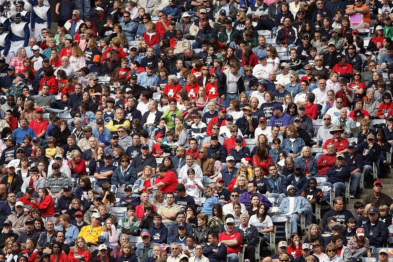 英超比赛票价概览，市场趋势、影响因素与观众体验解析