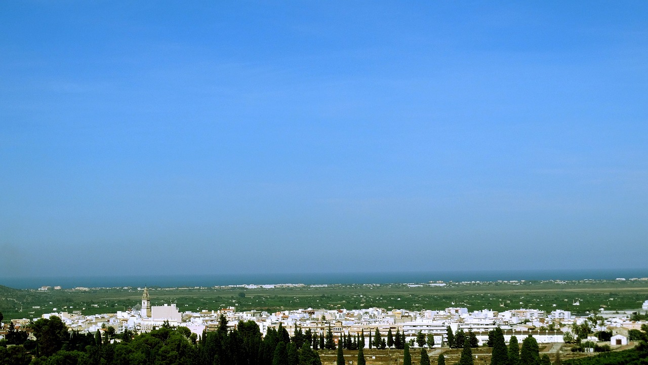安丘大姜最新市场价格及其动态分析