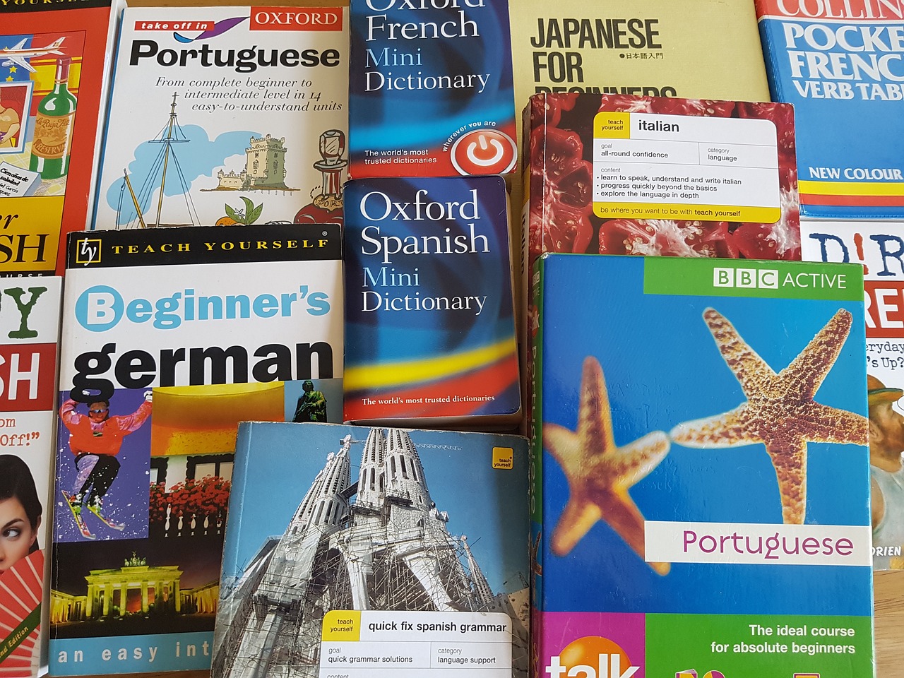 最新图书的魅力与影响，开启知识新纪元探索之旅