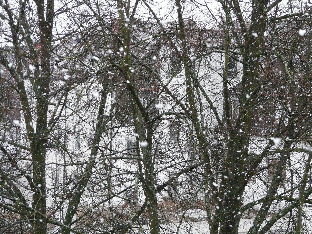 北京暴雪突发，冬日考验的实时更新