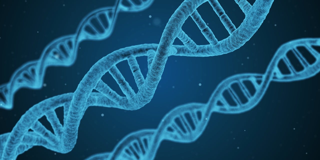最新禁用兽药清单，守护人类与动物的健康安全