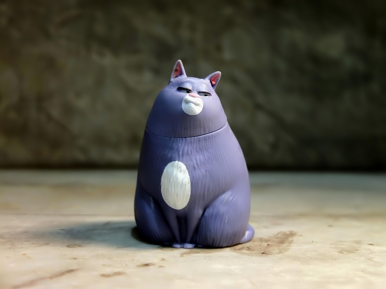动漫中的猫，神秘、可爱与深邃的魅力探索
