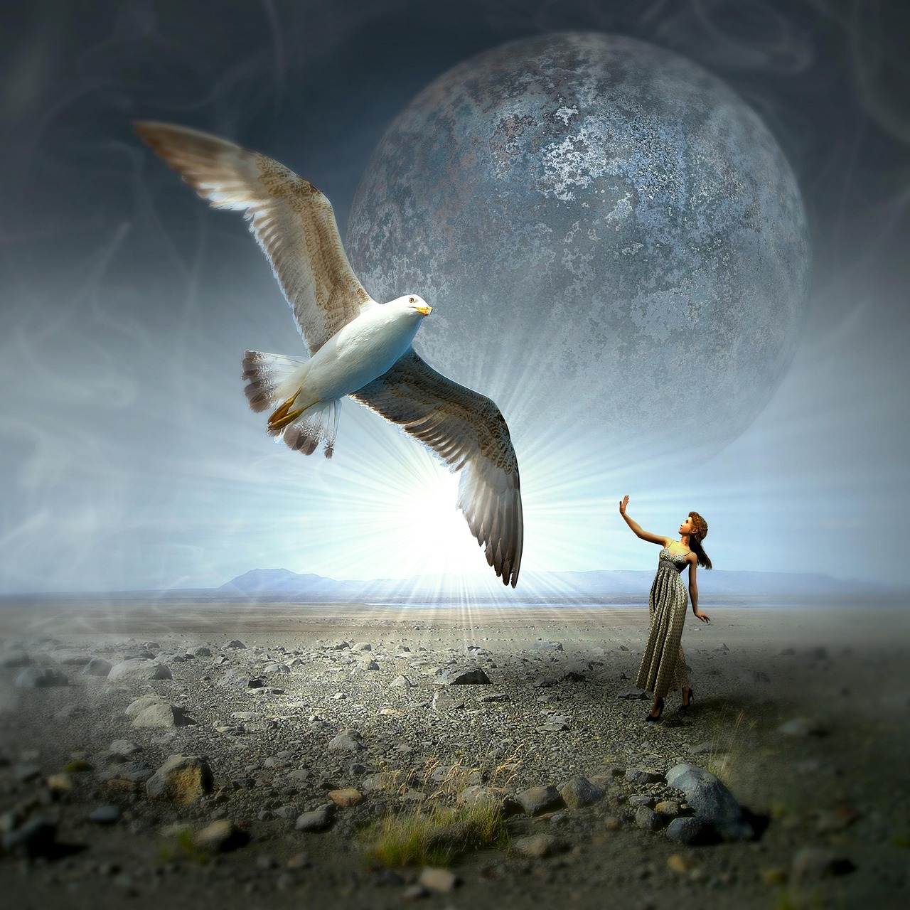 梦见明星夫妻，星光梦境中的浪漫相遇