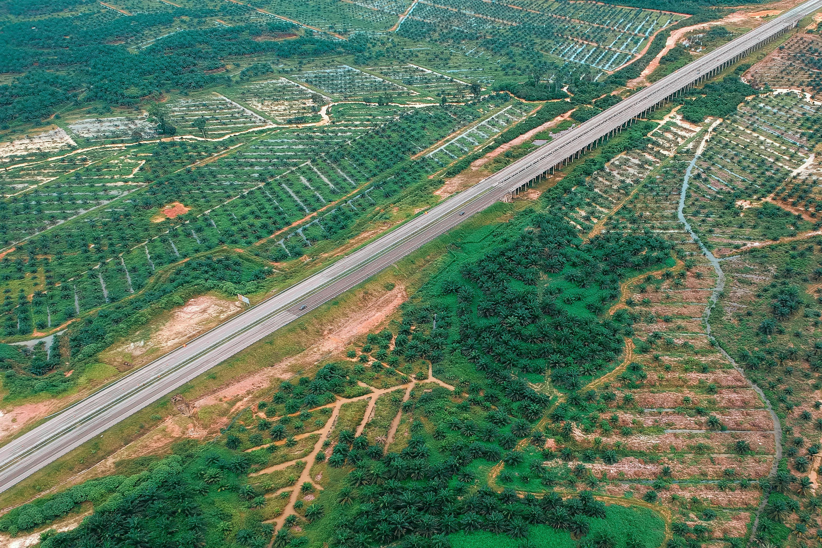 覃塘公路规划更新，引领区域发展的崭新篇章启动